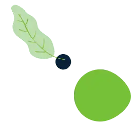 about 1 leaf